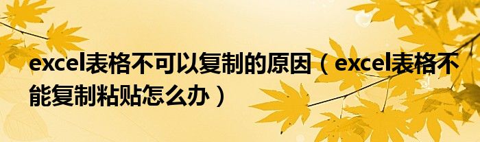 excel表格不可以复制的原因（excel表格不能复制粘贴怎么办）