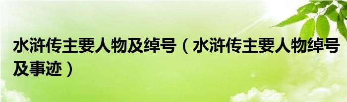 水浒传主要人物及绰号（水浒传主要人物绰号及事迹）