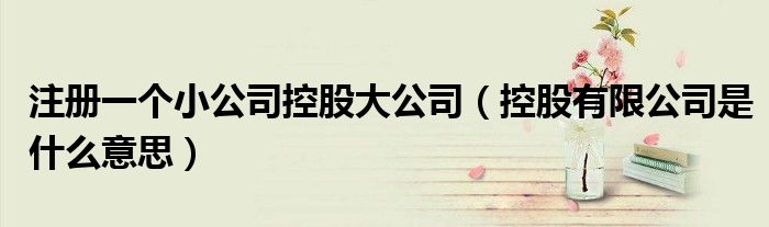注册一个小公司控股大公司（控股有限公司是什么意思）