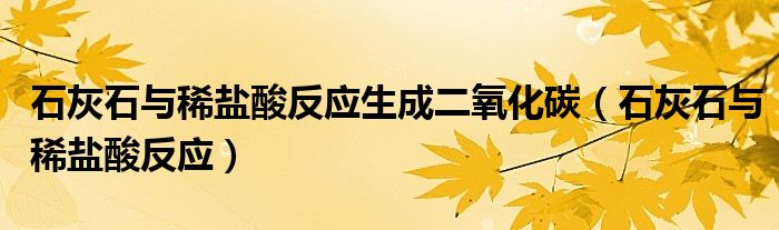 石灰石与稀盐酸反应生成二氧化碳（石灰石与稀盐酸反应）