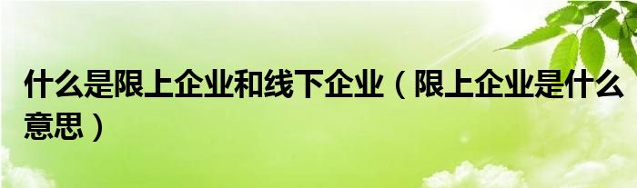 什么是限上企业和线下企业（限上企业是什么意思）