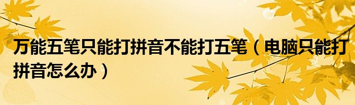 万能五笔只能打拼音不能打五笔（电脑只能打拼音怎么办）