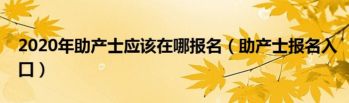 2020年助产士应该在哪报名（助产士报名入口）
