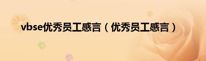 vbse优秀员工感言（优秀员工感言）