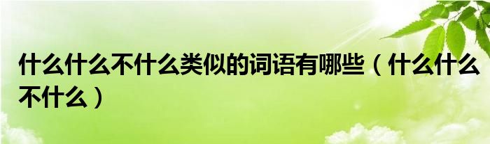 什么什么不什么类似的词语有哪些（什么什么不什么）