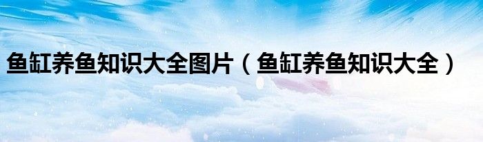 鱼缸养鱼知识大全图片（鱼缸养鱼知识大全）
