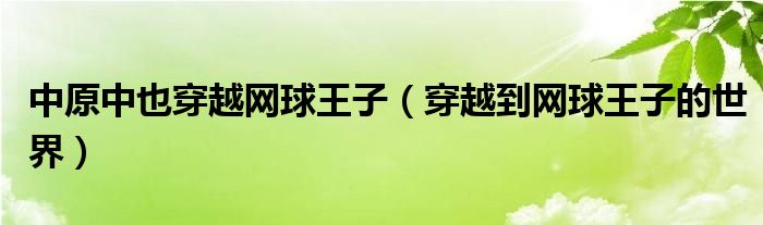 中原中也穿越网球王子（穿越到网球王子的世界）