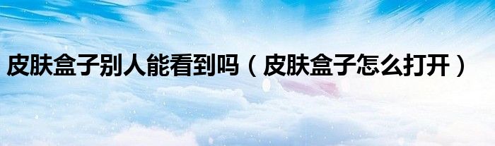 皮肤盒子别人能看到吗（皮肤盒子怎么打开）