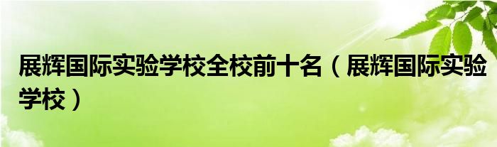 展辉国际实验学校全校前十名（展辉国际实验学校）