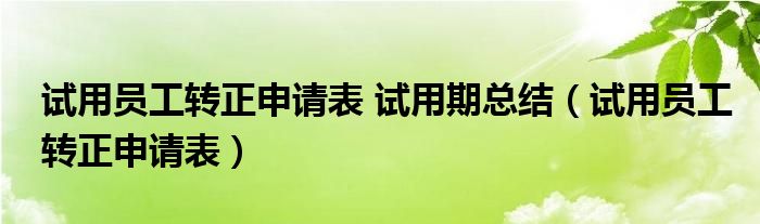试用员工转正申请表 试用期总结（试用员工转正申请表）