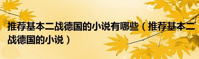 推荐基本二战德国的小说有哪些（推荐基本二战德国的小说）
