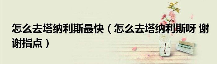 怎么去塔纳利斯最快（怎么去塔纳利斯呀 谢谢指点）
