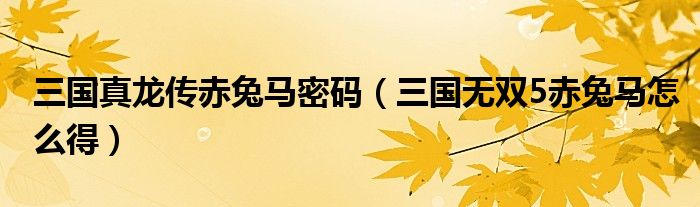 三国真龙传赤兔马密码（三国无双5赤兔马怎么得）