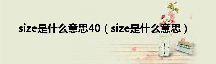 size是什么意思40（size是什么意思）