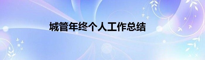 城管年终个人工作总结