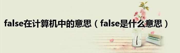false在计算机中的意思（false是什么意思）