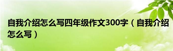 自我介绍怎么写四年级作文300字（自我介绍怎么写）