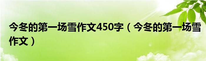 今冬的第一场雪作文450字（今冬的第一场雪作文）