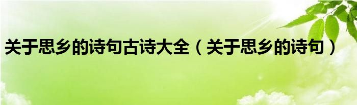 关于思乡的诗句古诗大全（关于思乡的诗句）