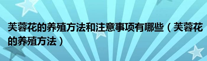 芙蓉花的养殖方法和注意事项有哪些（芙蓉花的养殖方法）