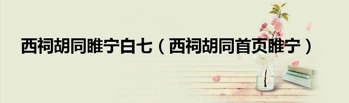 西祠胡同睢宁白七（西祠胡同首页睢宁）