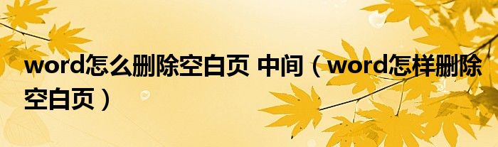word怎么删除空白页 中间（word怎样删除空白页）