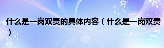 什么是一岗双责的具体内容（什么是一岗双责）