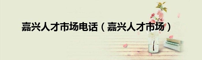 嘉兴人才市场电话（嘉兴人才市场）