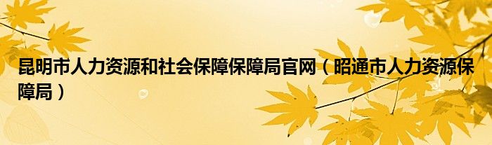 昆明市人力资源和社会保障保障局官网（昭通市人力资源保障局）