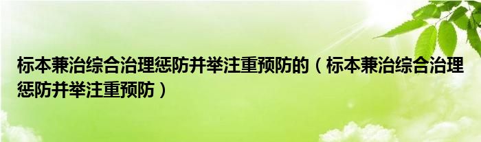 标本兼治综合治理惩防并举注重预防的（标本兼治综合治理惩防并举注重预防）