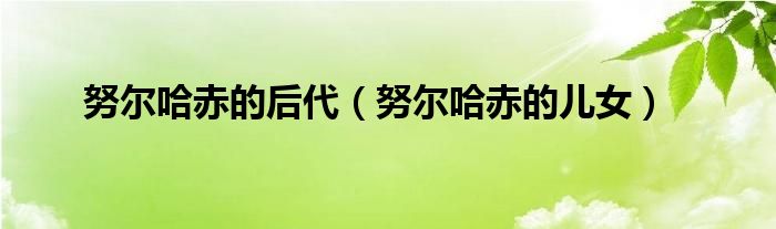 努尔哈赤的后代（努尔哈赤的儿女）