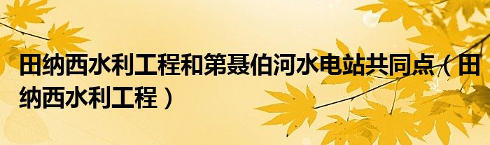田纳西水利工程和第聂伯河水电站共同点（田纳西水利工程）