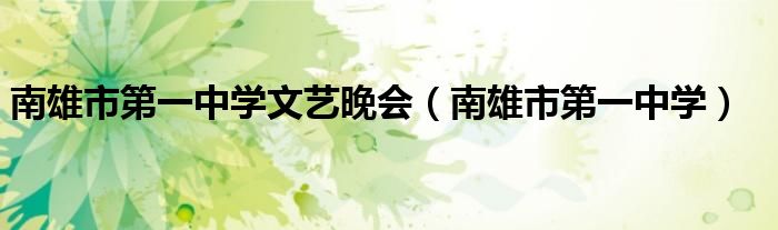 南雄市第一中学文艺晚会（南雄市第一中学）