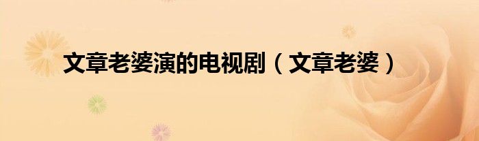 文章老婆演的电视剧（文章老婆）