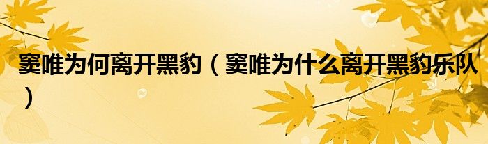窦唯为何离开黑豹（窦唯为什么离开黑豹乐队）