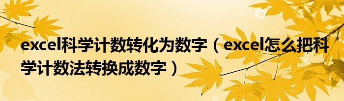 excel科学计数转化为数字（excel怎么把科学计数法转换成数字）