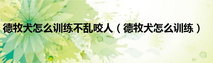 德牧犬怎么训练不乱咬人（德牧犬怎么训练）