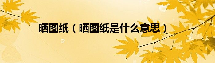 晒图纸（晒图纸是什么意思）