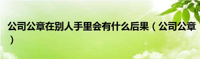 公司公章在别人手里会有什么后果（公司公章）