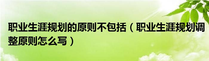 职业生涯规划的原则不包括（职业生涯规划调整原则怎么写）