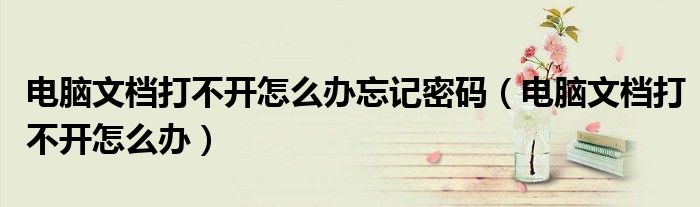 电脑文档打不开怎么办忘记密码（电脑文档打不开怎么办）