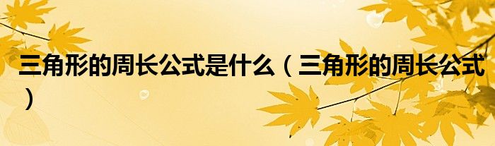 三角形的周长公式是什么（三角形的周长公式）