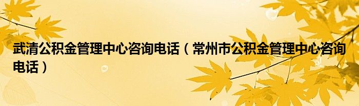 武清公积金管理中心咨询电话（常州市公积金管理中心咨询电话）