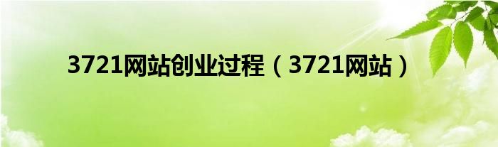 3721网站创业过程（3721网站）