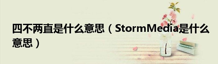 四不两直是什么意思（StormMedia是什么意思）