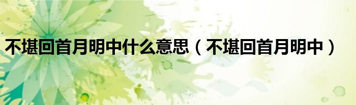 不堪回首月明中什么意思（不堪回首月明中）
