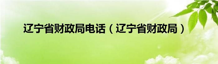 辽宁省财政局电话（辽宁省财政局）