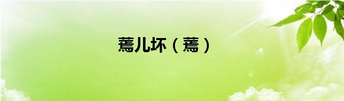 蔫儿坏（蔫）
