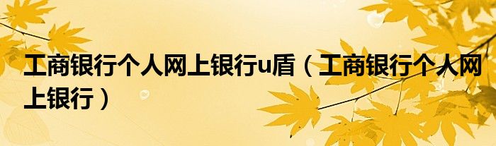 工商银行个人网上银行u盾（工商银行个人网上银行）