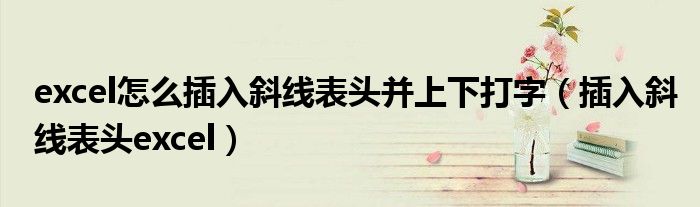 excel怎么插入斜线表头并上下打字（插入斜线表头excel）